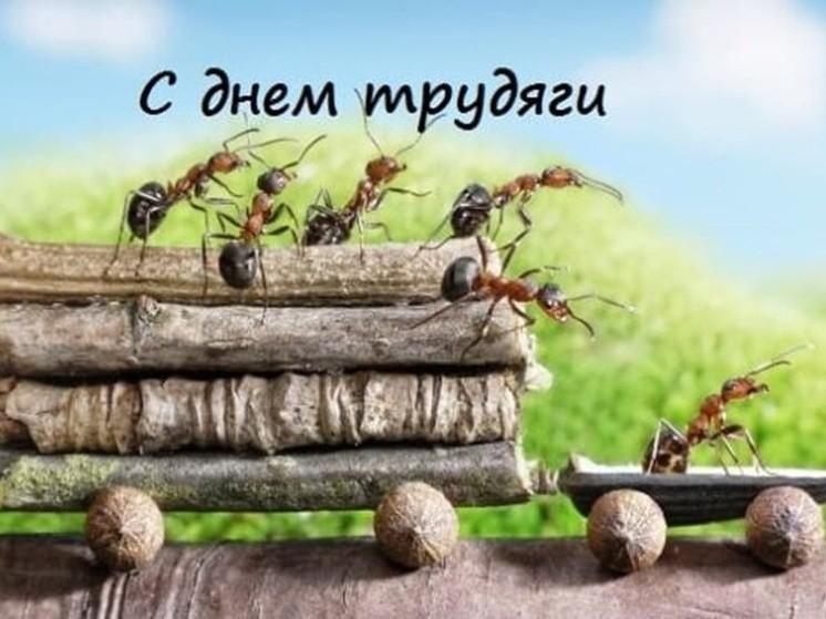 День трудяги