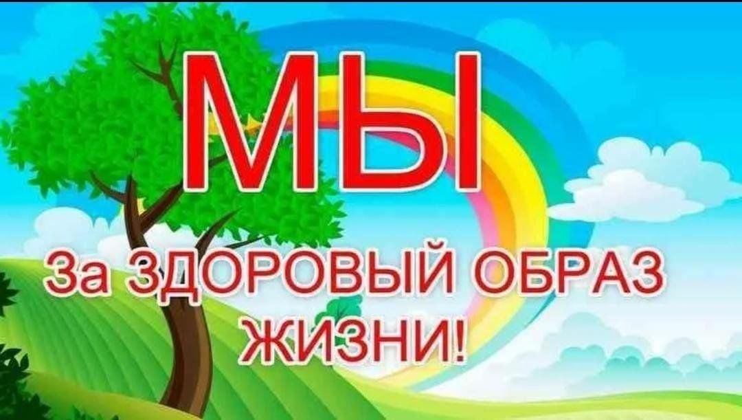 Познавательная программа «Что мы знаем о здоровье»