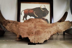 Программа «Геознайка»