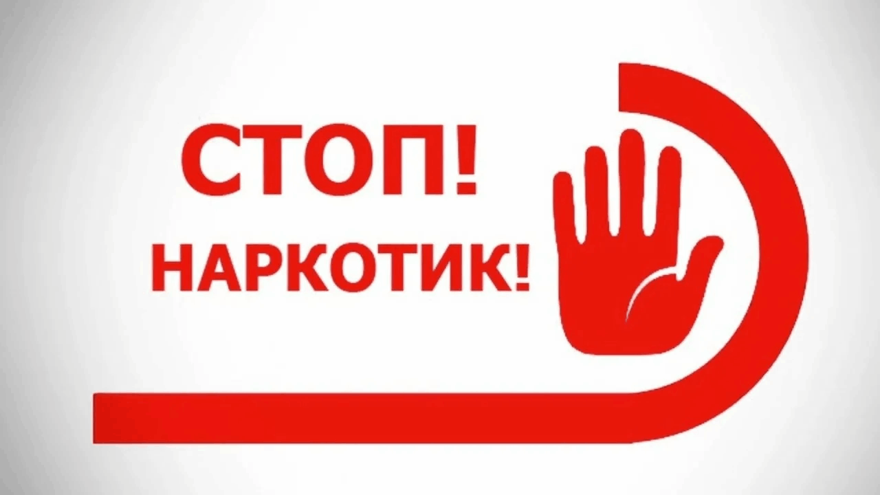 «Влияние наркотиков на человеческий организм».
