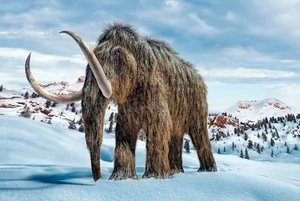 Квест «Погладим мамонта вместе»