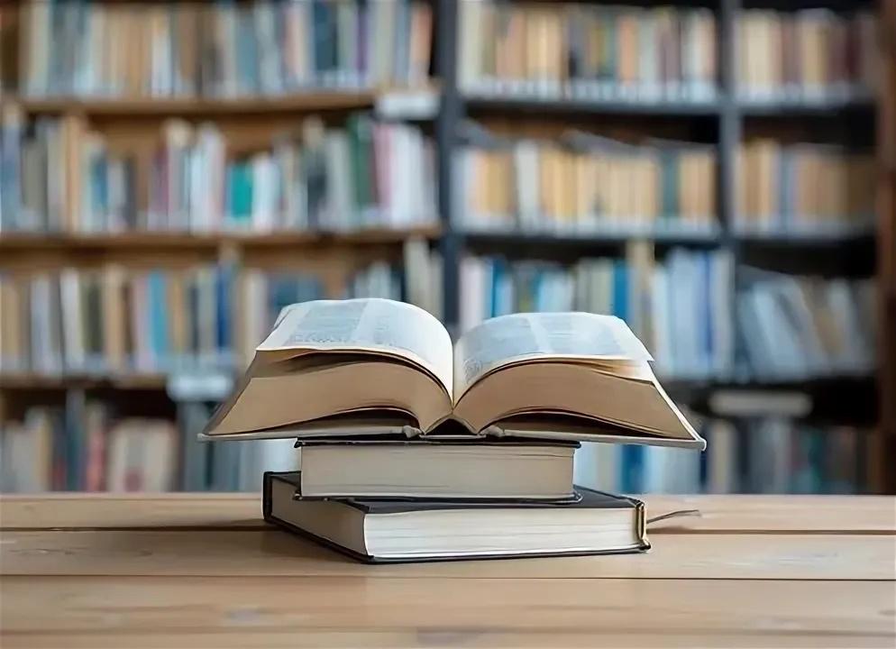 «Путешествие в мир книг»