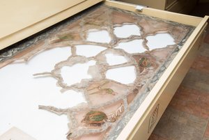 Выставка «Петровские достопамятности»