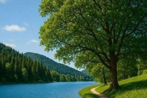 Квест «Природа вокруг нас»