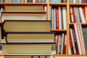 Обзор книги «Утенок Счастливчик,»или Настоящий герой Хелен Пите.