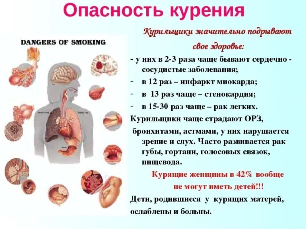 Беседа о вреде курения «Я призираю сигарету»