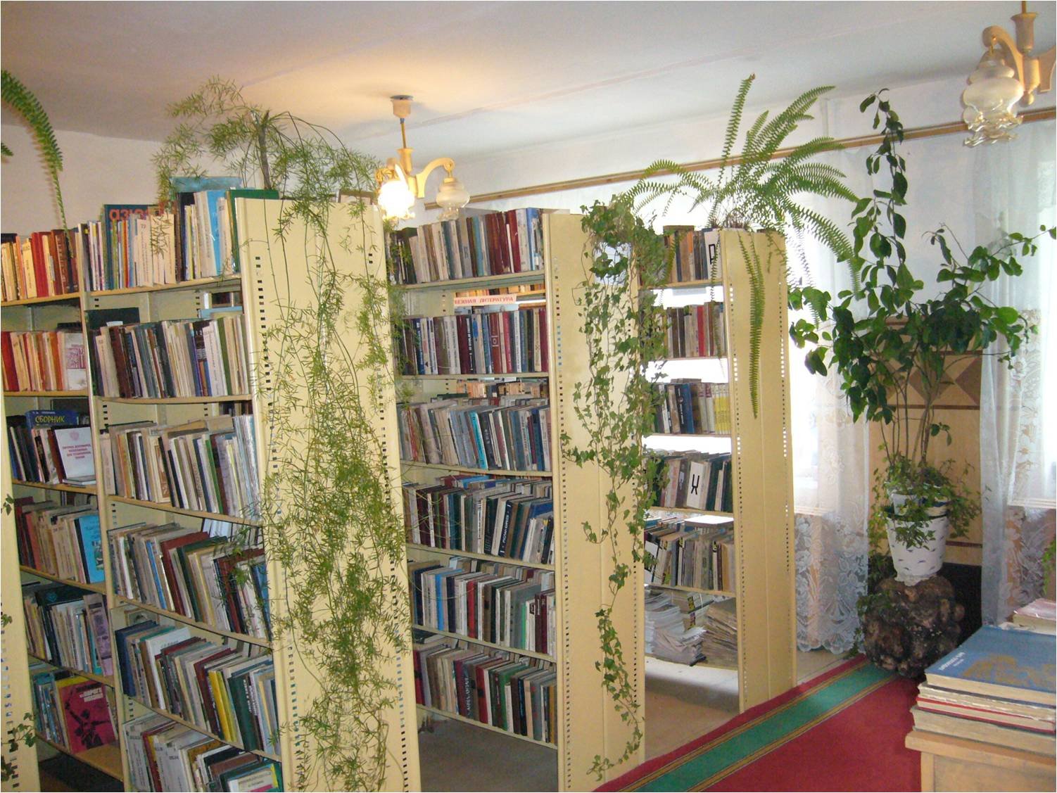 Сельская библиотека